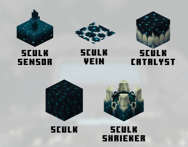 Hình ảnh 5 loại khối Sculk Blocks khác nhau trong Minecraft 1.19