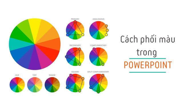 Phối màu trong PowerPoint đẹp theo nguyên tắc 5 màu